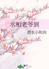丞相老爷到